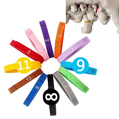 WXYINSPAS Newborn Puppy ID Collars with Numbers Dog Kitten Collar 3