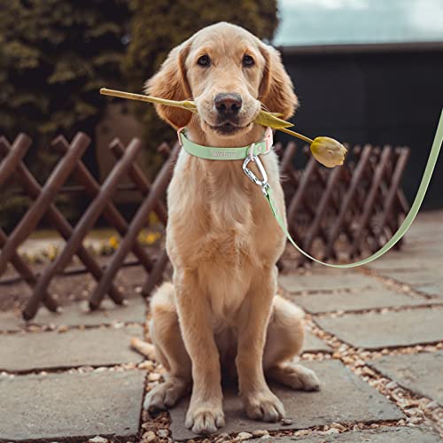 Wolfone Waterproof Dog Collar With Quick Release Buckle， Cute Adjustable Collar For Dogs Comfort Sturdy Durable Odor Proof Easy Care（Mint Green 37.5-55Cm） #TOP7