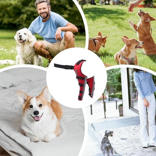 Attelle orthopédique pour chien membre postérieur réglable