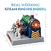 Playz Train Steam Engine Model Kit to Build for Kids with Real Steam, STEM Science Kits for Kids, Model Engine Kits for Adults and Educational Hobby Gift, Mini Engine Set, Engineering Toy Boys & Girls