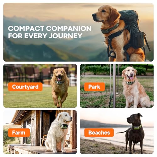 PETHEY Dog Fence System Specs