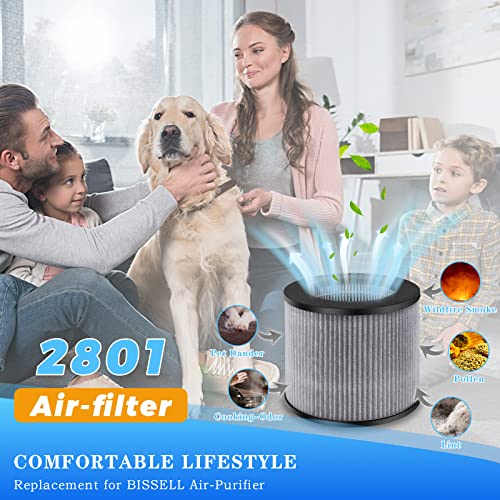 2780A 2801 Filter Replacement fit for Bissell MYair MY air Personal Air-purifier 2780 2780B 2780P 27809 2 Pack High Efficiency Activated Carbon Filters LUXRILIX