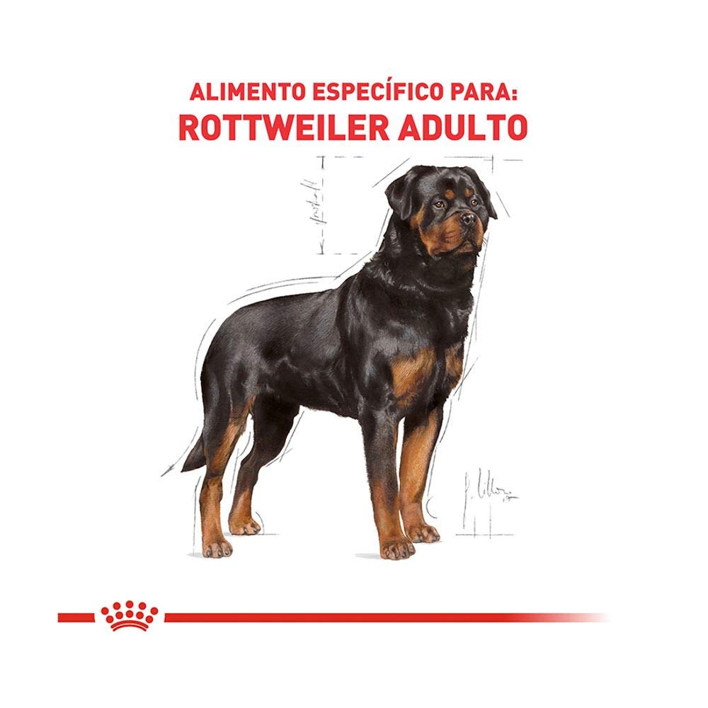 Ração Royal Canin Rottweiler Cães Adultos 12Kg Royal Canin Adulto