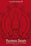 Fearless Death: Buddhist Wisdom on the Art of Dying