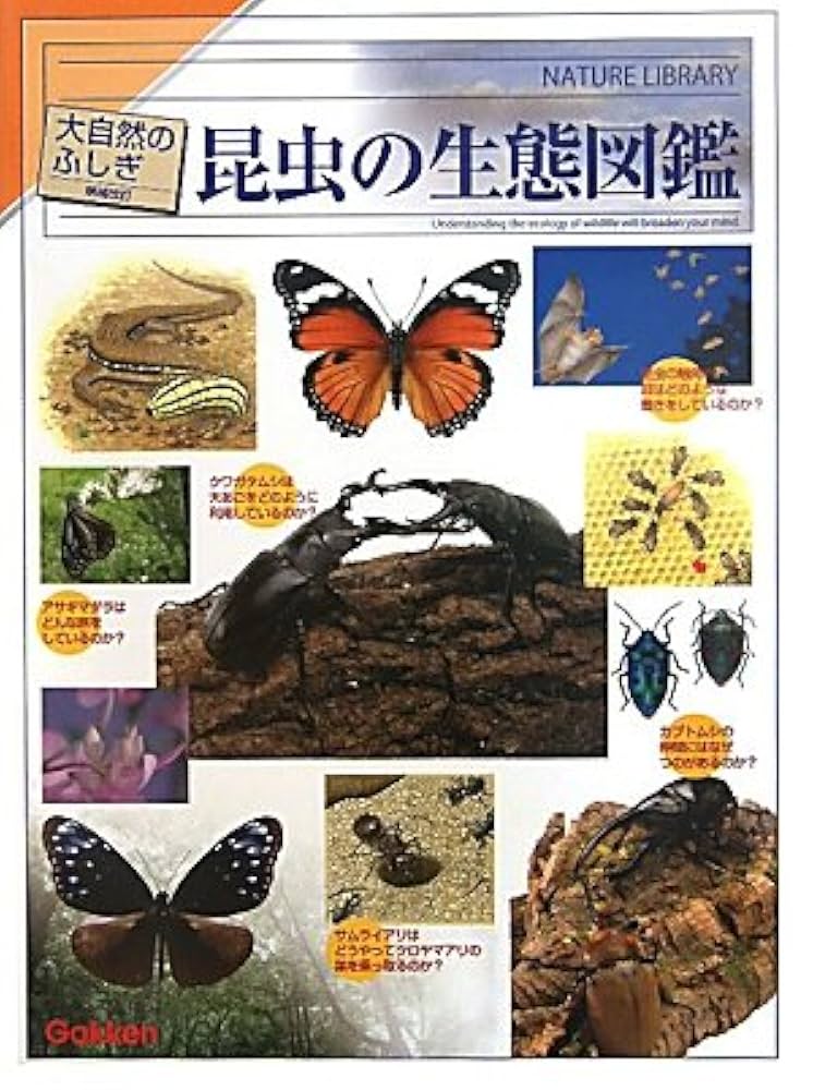 Amazon.co.jp: 昆虫の生態図鑑 (大自然のふしぎ 増補改訂) : 本