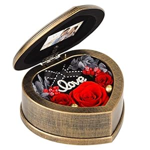 Neaticoo Handmade Preserved Flowers 3 Red Real Rose in Musical Box, Valentines Day Rose Gifts for Her Women on Valentine…