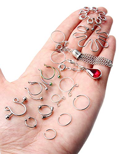 Oufksiyy Fake Nipple Ring Stainless Steel Non-Piercing Nipple Rings Clip On Nipplerings Faux Body Piercing Jewelry For Women Men 26Pcs #TOP1