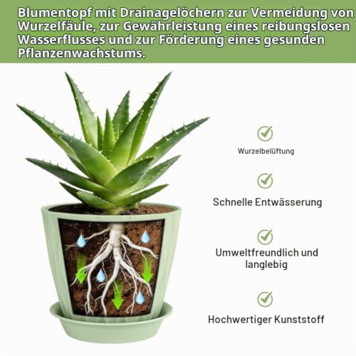 vsshe Blumentopf, 6er Set Blumentöpfe aus Kunststoff, Waffelmuster Pflanzentopf rund mit Untersetzer & Drainageloch… – Ansicht 4