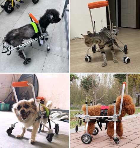 Fauteuil roulant pour chien à 4 roues | Chariot de rééducation active - 7