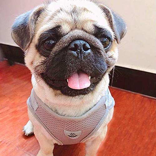 Image of FEimaX Dog Harness and Leash Set for Walking, Soft Mesh Adjustable Easy Control Lightweight Cat Vest Harnesses with Reflective Strips, Escape Proof Small Dogs Cats Vests (Grey, Medium)