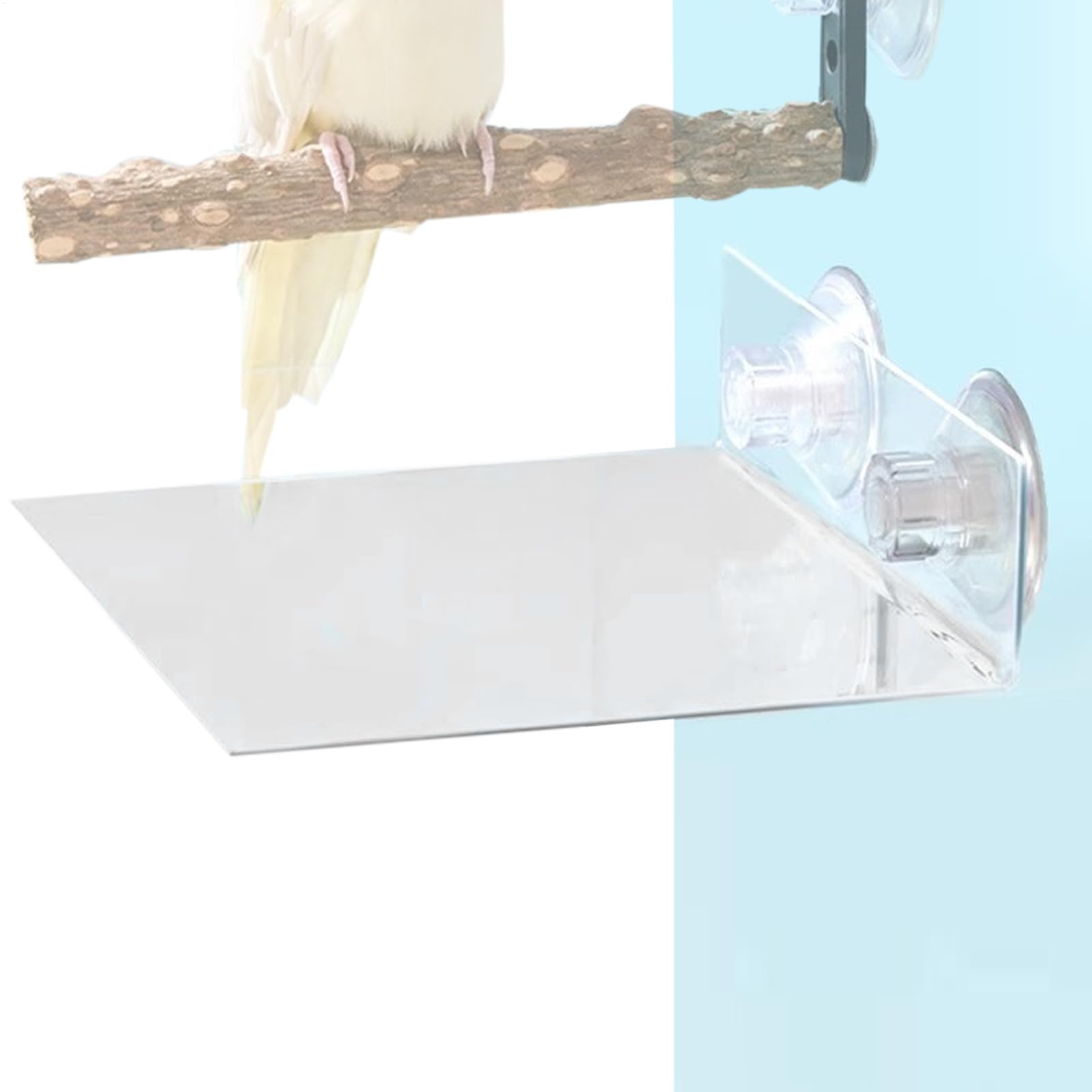 Tray Feeders for Wild Birds,Clear Acrylic Waste Catcher Plate,Flat Bird Feeder with Suction Cup - for Garden Backyard Patio Lawn Balcony Home Window Glass Cage