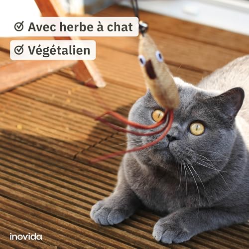 Set de Jouets pour Chat : XL 15 Pièces avec Herbe à Chat – Jouet Interactif et Vegan avec Plumes – Jouets Colorés avec Menthe, Souris – Kit de Jouets pour Chaton – Image 5