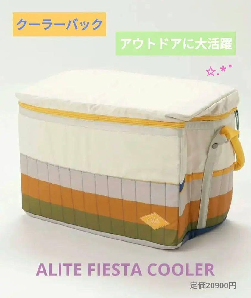 シルバー金具 新品 価格2万円ALITEエーライトFIESTA COOLER クーラー