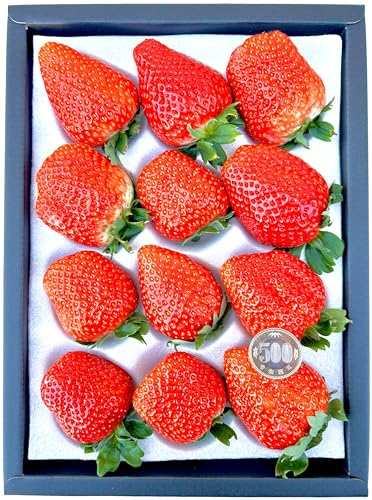 yIMtgp z uhu v嗱PQ x:13-15x̖FȊÖƎ_̃uh ؉ϔ NX}X Ε N Japanese Best StrawberryyNlRz