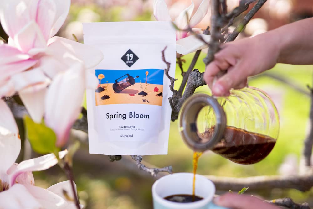 Filtr Spring Bloom | 1 kg całych ziaren | uczciwy i zrównoważony | świeżo palone | 100% ziaren kawy Arabica | specjalna kawa | 19 g palarni kawy