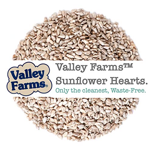 Valley-Farms-Sunflower-Hearts-Wild-Bird-Food-Straight-Seed