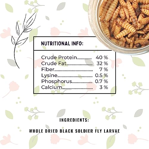 Image of Dried Black Soldier Fly Larvae Fish Food 55 Grams for Arowana Oscar Flowerhorn & Carnivorous Fishes Omega 3 & 6 50x More Calcium Than Worms
