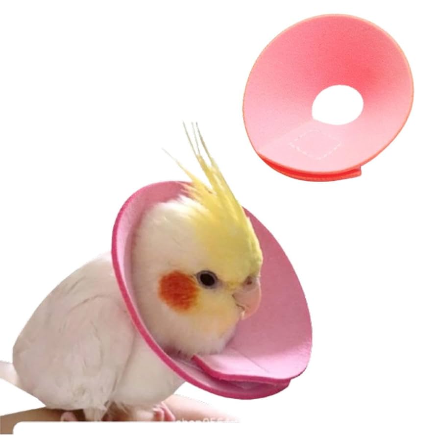 Amazon | Nikkashop 鳥 エリザベスカラー 鳥類羽根抜き防止 調整