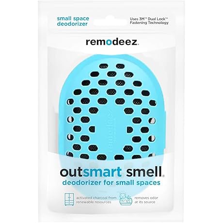 REMODEEZ Charcoal Air Purifier