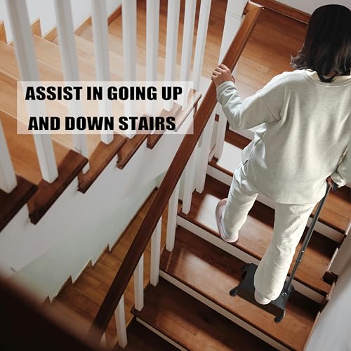 Stair Climbing Cane Pro
