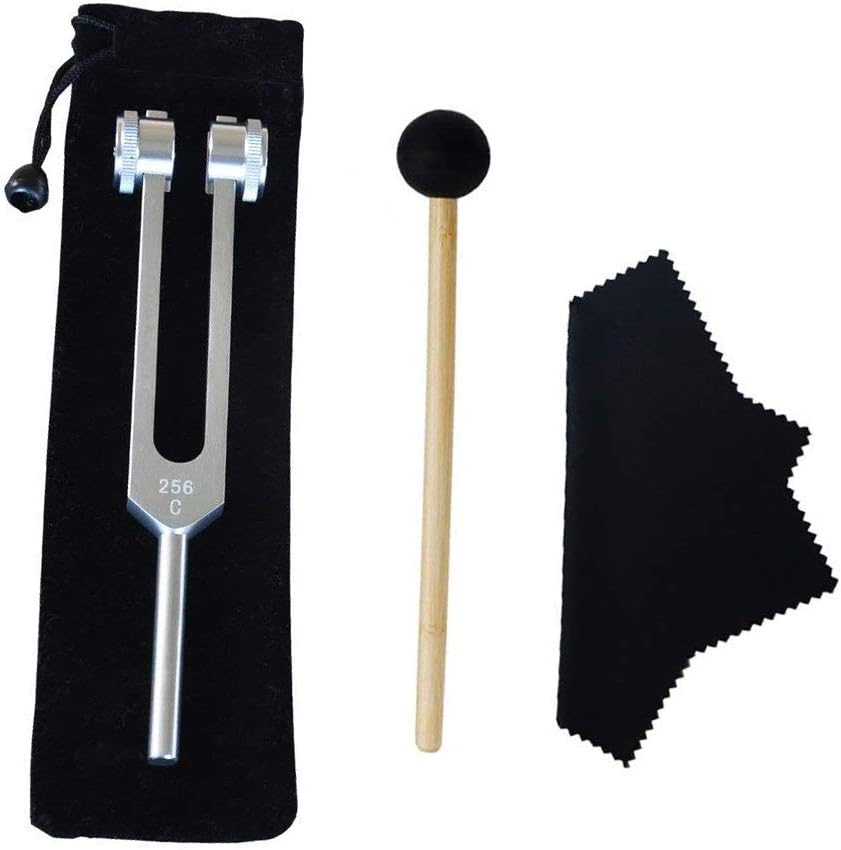 Tuning Fork, 256 Hz Tuning Fork, 256 Cps Tuning Fork Fixed Weights Clinical Grade Nerve/Sensory with Silicone Hammer