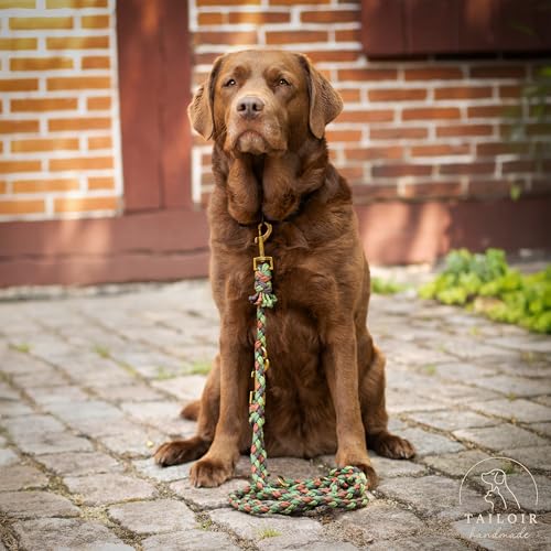 Tailoir Hundeleine 2m geflochten - Leine Hund, Mittelgroße - Große Hunde, Leine verstellbar, Hundeleinen, Dog Leash Führleine, Bissfeste Hundeleine zum Umhängen, Trainingsleine, Freihandleine Paracord