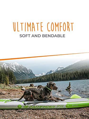 Mighty Paw Waterproof Dog Collar, Smell-Proof Active Dog Gear, Coated Nylon Webbing With Reflective Stripe. (Green, Large) #TOP5