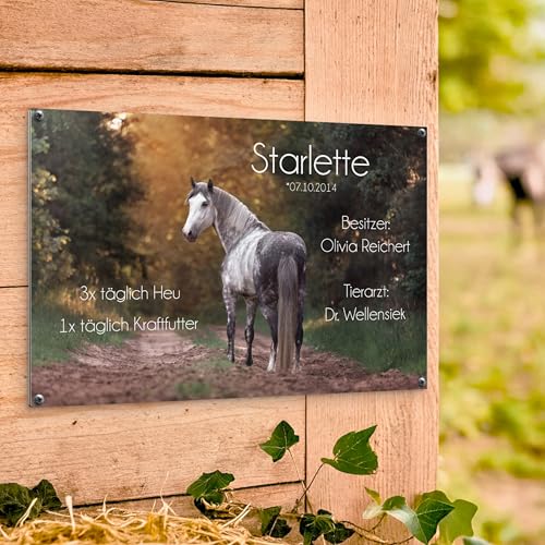 Pferdeschilder Boxenschilder mit eigenem Foto und Wunschtext | AluDibond Alu Verbundplatte | 30x20 cm | sofort personalisierbar | inkl. Brandzeichen & Motiven