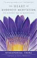 洋書 The way of Practicing Meditation 洋書 The way of Practicing Meditation Practicing Mindfulness