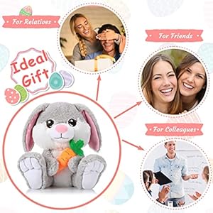 Chalyna8incheasterplushbunnyrabbitstuffedanimalgrayfloppyearsittingbunnyhuggableandwashablebunnyplushtoygiftforkidsgirlsboysbirthdayeasterstuffersbirthdaypartysupplies Urban Country Home Decor Chalyna 8 inch easter plush bunny rabbit stuffed animal gray floppy ear sitting bunny huggable and washable bunny plush toy gift for kids girls boys birthday easter stuffers birthday party supplies urban country home decor