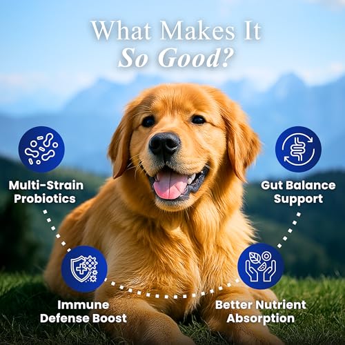 Image of Petroyale Dog Pre+ Probiotic & Prebiotic Chews - Probiotics for Dogs - Dog Gut Health Supplement - Relieves Diarrhea, Improves Digestion & Immunity (90 Soft Chew)