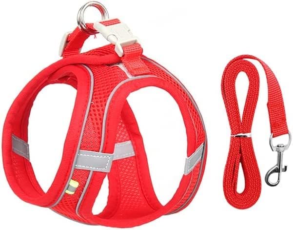 Juego de correa de arnés para perros pequeños, arnés ajustable para cachorro, gato, bulldog francés, Chihuahua, Pug, correa para caminar al aire