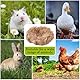CREATCABIN 40g Nistmaterial Für Vögel Jute Vogelnester Einstreumaterial Mischung Aus Nistmaterial Für Kanarienvögel Finken Sittiche Nistmaterialien Für Kolibri Hamsterkäfige Gärten Baumstämme Watte