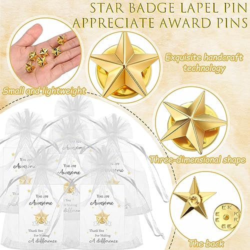 Nosiny-30-Set-Christmas-Employee-Appreciation-Gifts-Include-Star-Badge-Lapel-Pins-Bulk-Nurse-Inspirational-Greeting-Cards-and-Bag-Operation-Christmas-Thank-You-Gifts-for-Women-Team-Volunteer-Student