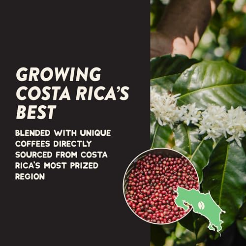 Image of Angelino's Coffee Costa Rica Volcanica Coffee Pods, 24 Count - Medium Roast, 100% Arabica Tarrazu, K Cup Compatible for Keurig - Silky Cacao, Tropical Fruit & Bright Citrus Notes