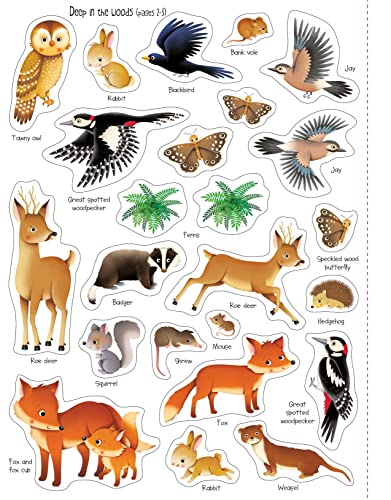 First Sticker Book Nature (First Sticker Books) - Image 3