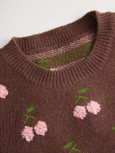 Image of CIDER Sweater Vest Women Sleeveless Cropped Sweaters Cute Graphic Tank Tops Old Money Clothes Fall Outfits