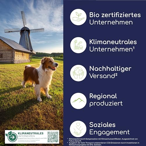 Wolfsbacher Libido Balance Pulver – Mönchspfeffer für Rüden, Natürliche Hormonregulierung, Verhaltensoptimierung, 100g