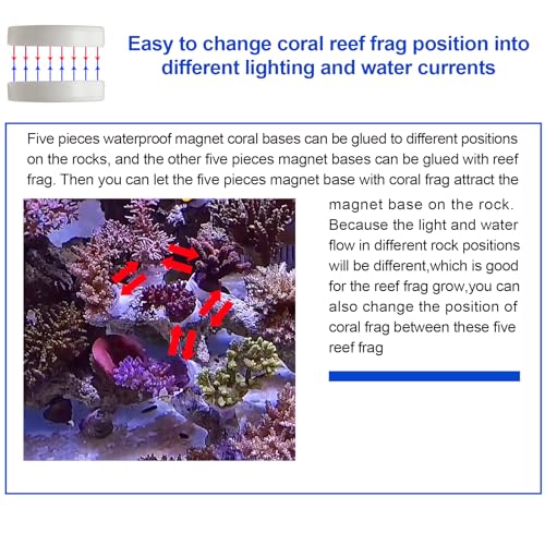 Image of Aquarium Choice 10 pcs 0.95 Inch Waterproof Magnet Coal Reef frag Base Coral fragging Kits(10pcs Magnetic Coral Base)