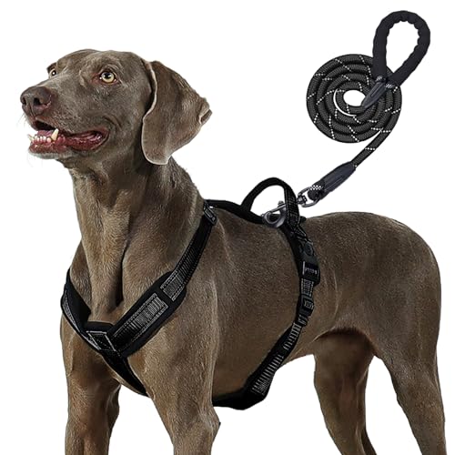 Patas-Lague-No-Pull-Dog-Harness-for-Large-Dogs-Soft-Adjustable-Step-in-No-Choke-Dog-Harness-and-Leash-Set-Reflective-Solid-Dog-Vest-Harness-with-Buckle-Lock-Black-XL - Cucciolini Doodles Patas-Lague-No-Pull-Dog-Harness-for-Large-Dogs-Soft-Adjustable-Step-in-No-Choke-Dog-Harness-and-Leash-Set-Reflective-Solid-Dog-Vest-Harness-with-Buckle-Lock-Black-XL