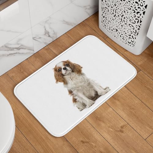 փ}bg ĂLoA hA}bg  O oX}bg  DƂ 􂦂 ~ @}bg  䏊 Q Ɩp lGʗp 60cm×40cm