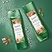Suave Conditioner Moisturizing Almond + Shea Butter Paraben Free 12.6 oz