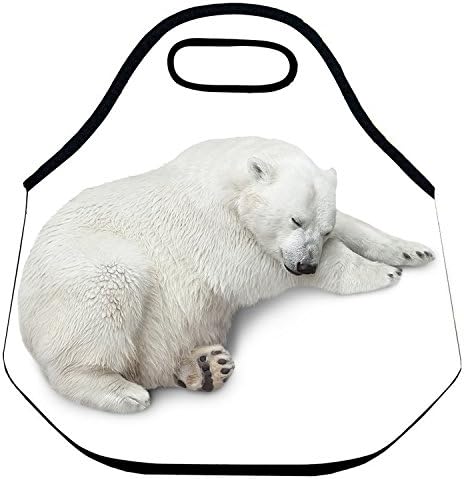 Estrellaw Lovely Sleeping Polar Bear Lunch Bag