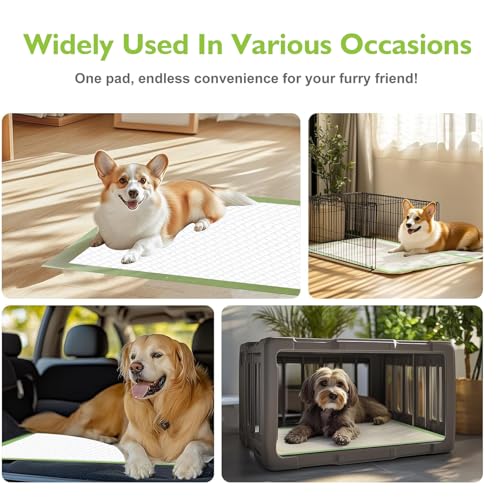 Image of Dog Pee Pads Extra Large 36 inch x 28 inch , 40 Count Puppy Pads, Doggy Pads｜Disposable Training Pads, Super Absorbent & Leak-Proof & Quick Drying Potty Pads