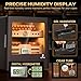XIFEI Cigar Humidor Cabinet, Glass Top & Adjustable LED Lighting, Digital Hygrometer, 2 Humidifiers, Cigar Tube, Desktop Cedar Wood Humidor with Accessory Drawer for 80-100 Cigars, Ideal Men's Gift