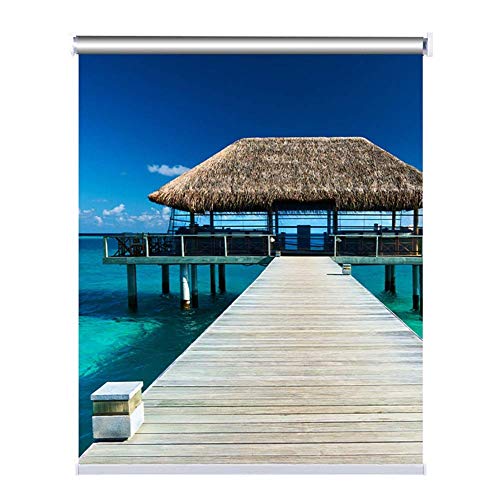 ZTMN Persianas enrollables Persianas enrollables de Tela Impermeables 100% Blackout Persianas para el hogar y la Oficina, fáciles de Instalar: 60 cm / 80 cm / 100 cm / 120 cm / 140 cm de Ancho (T