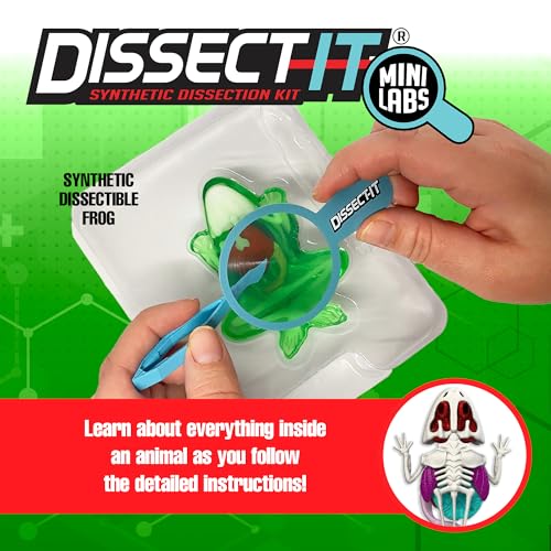 Image of Top Secret Toys Dissect-It Mini Labs Frog Dissection Kit for Kids, Realistic Synthetic Kids Science Kit - On, Biology and Animal Anatomy, STEM Toy, Ages 6+