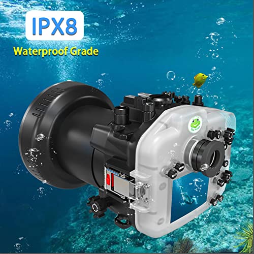Seafrogs 40M/130Ft Underwater Camera Housing Waterproof Case For Canon R6 With Flat Port (100Mm), Compatible With 16-35Mm, 24-105Mm, 100Mm And 15-35Mm Lens #TOP6