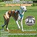 Huntboo Sicherheitsgeschirr Hund Ausbruchsicher, Panikgeschirr für Hunde, Anti Zug Hundegeschirr, Reflektierend, Verstellbare, Leichte Weste für kleine, mittelgroße und große Haustiere (Blau,M)