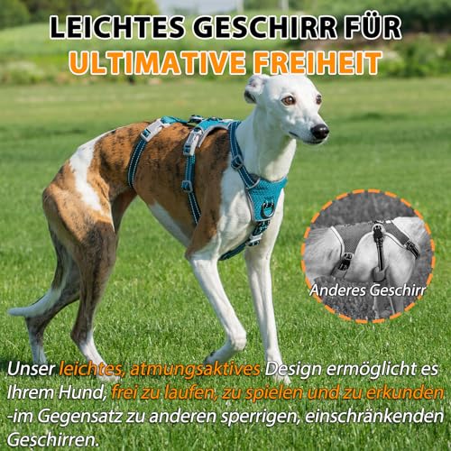 Huntboo Sicherheitsgeschirr Hund Ausbruchsicher, Panikgeschirr für Hunde, Anti Zug Hundegeschirr, Reflektierend, Verstellbare, Leichte Weste für kleine, mittelgroße und große Haustiere (Blau,M)